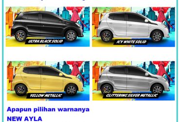 pilih warna ayla